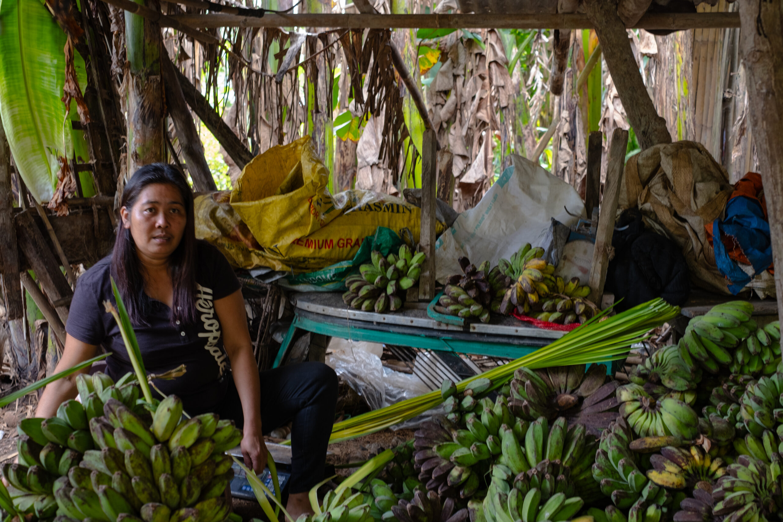 Tilling The Land Women Farmers Of Tayabas